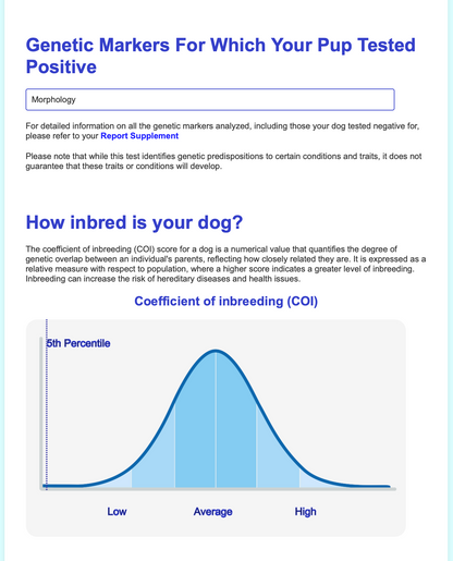 Complete Breed Health Test – ProsperK9 - Main Image