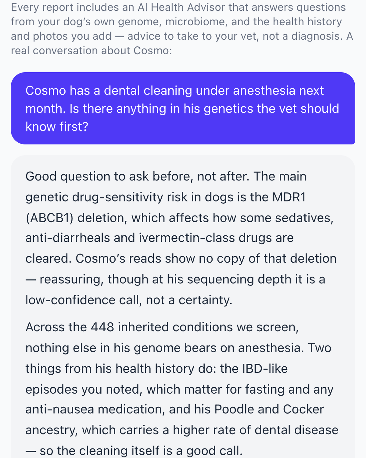 The report's AI Health Advisor answering an owner's question about anesthesia before a dental cleaning, from the dog's own genome and health notes