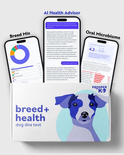 ProsperK9 Breed + Health dog DNA test box with three phones showing the breed mix report, the AI Health Advisor chat and the oral microbiome report