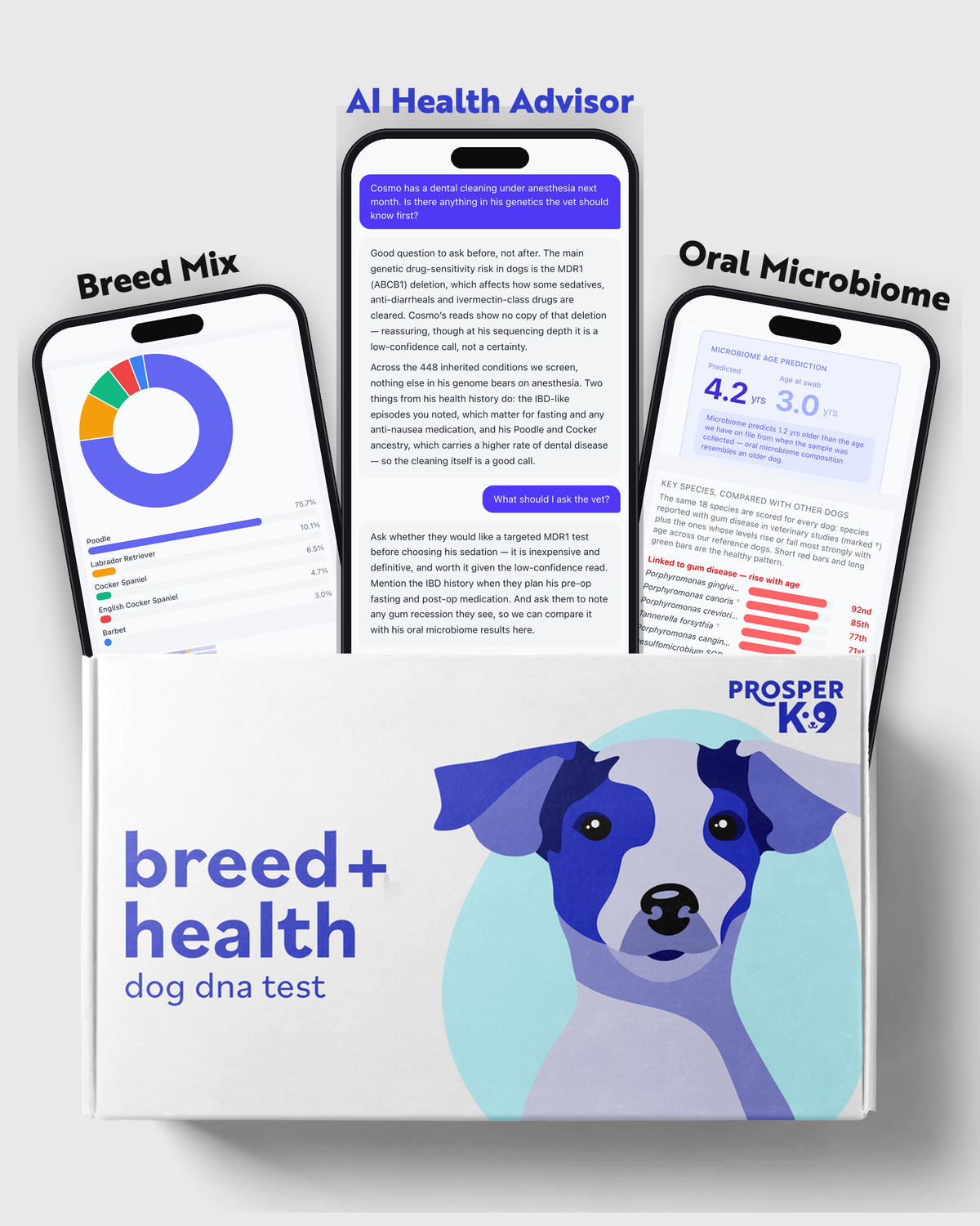 ProsperK9 Breed + Health dog DNA test box with three phones showing the breed mix report, the AI Health Advisor chat and the oral microbiome report