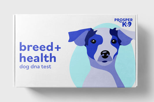 Breed + Health Tests