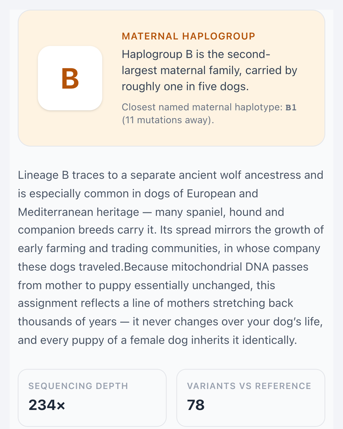 Maternal line result: haplogroup B, the mother's-side lineage read from mitochondrial DNA
