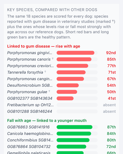 Oral microbiome chart comparing key bacterial species against reference dogs — gum-disease species in red, healthy-mouth species in green