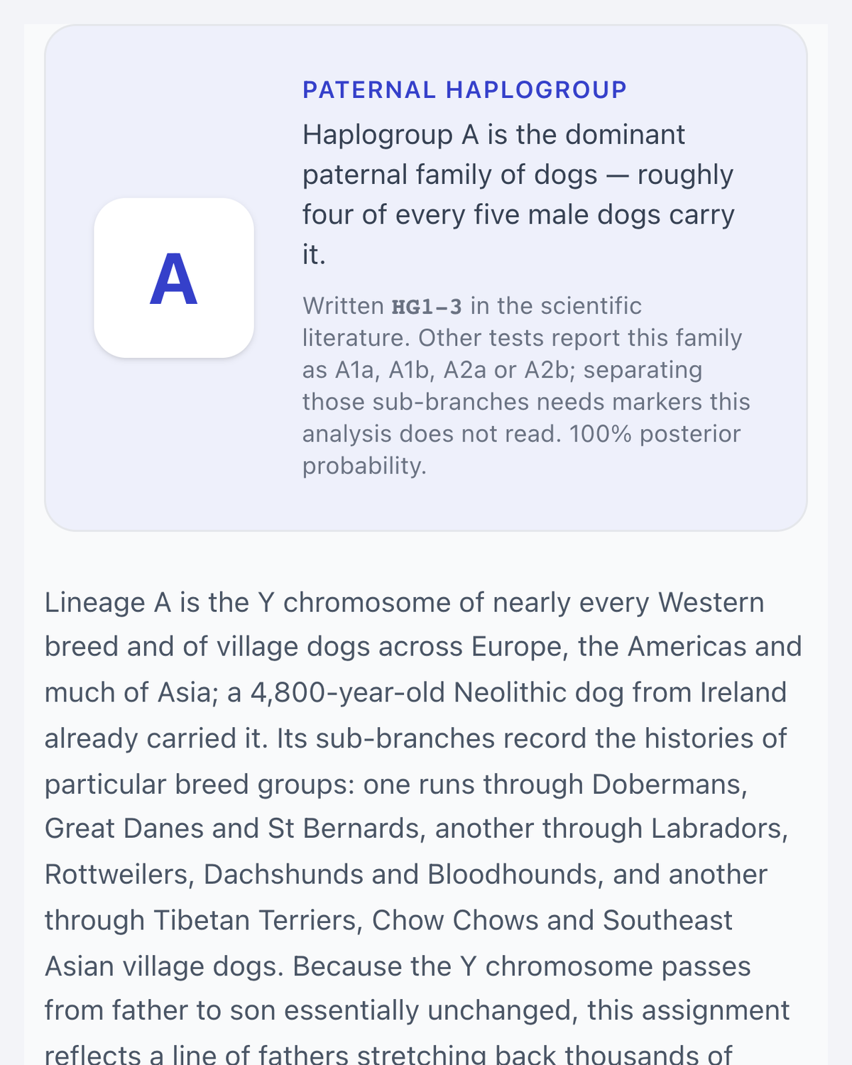 Paternal line result: haplogroup A, the father's-side lineage read from the Y chromosome