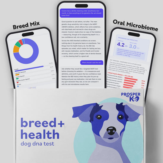 ProsperK9 Premium DNA Test in 40 seconds: whole-genome report, Healthbook, AI Health Advisor
