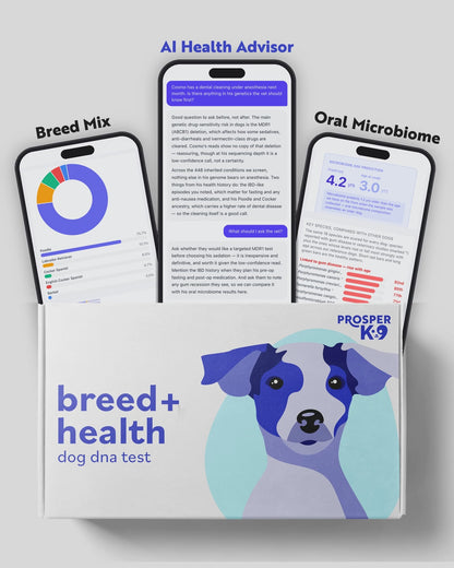 ProsperK9 Premium DNA Test in 40 seconds: whole-genome report, Healthbook, AI Health Advisor