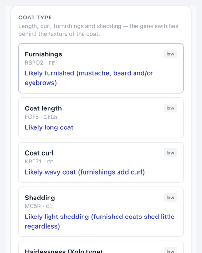 Single-gene trait cards for furnishings, coat length, curl and shedding, each with a confidence level